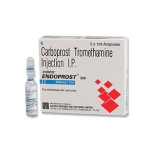 Endoprost 250mcg Injection